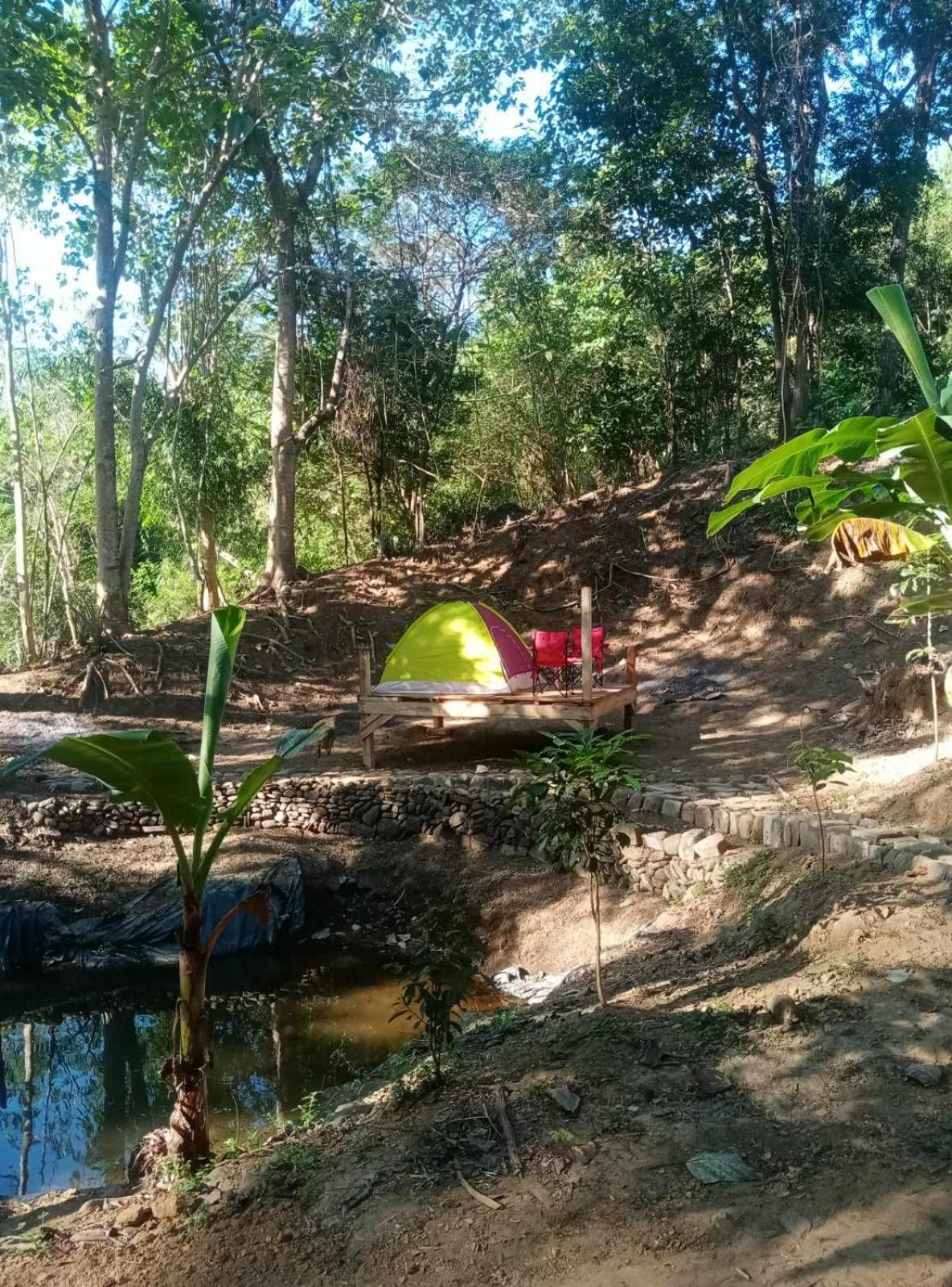 Camping Ground @ Eastdee Lidlidda Hotel Bagian luar foto